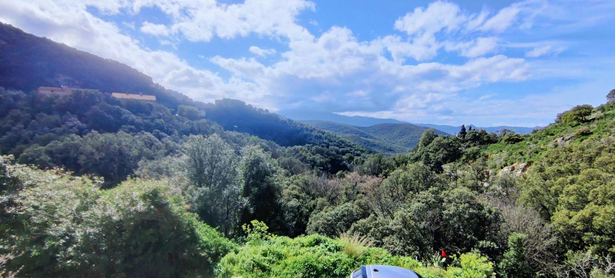 La Vallicella Farinole 部屋 写真
